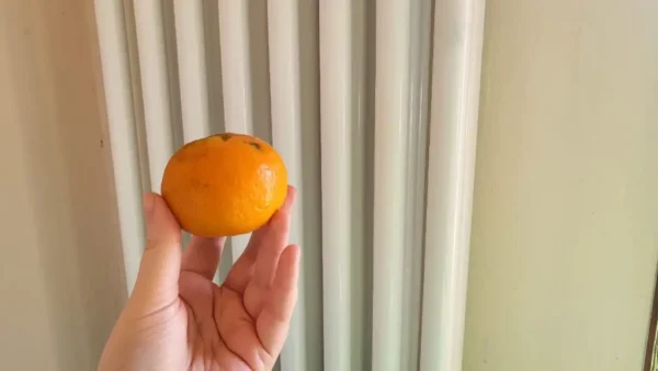 Pon esto en los radiadores si quieres perfumar toda la casa en cuestión de minutos