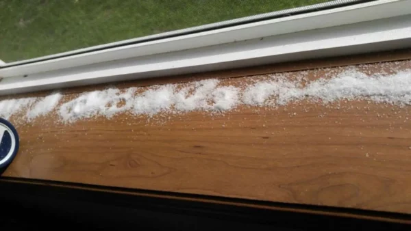 Pon sal en el alféizar de la ventana: resuelve este molesto problema