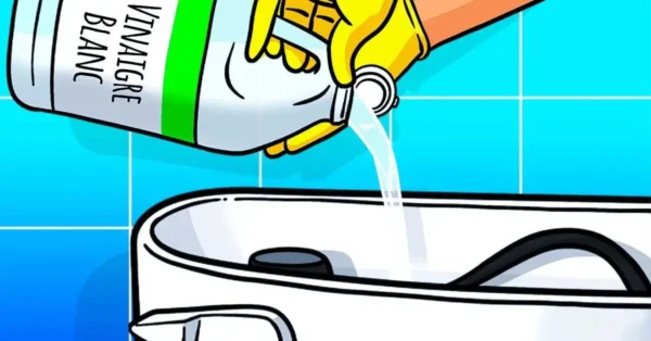 Pon vinagre en la cisterna del váter: solucionarás un gran problema