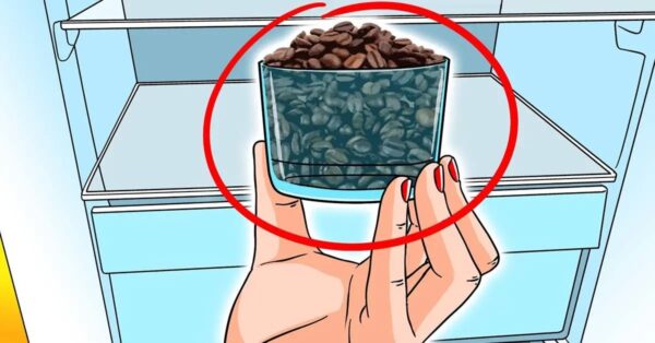 Poner un vaso de café en la nevera: el truco genial que evita muchos disgustos