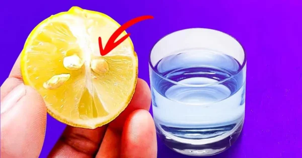 Poner una semilla de limón en un vaso de agua: el truco genial que te hace la vida más fácil