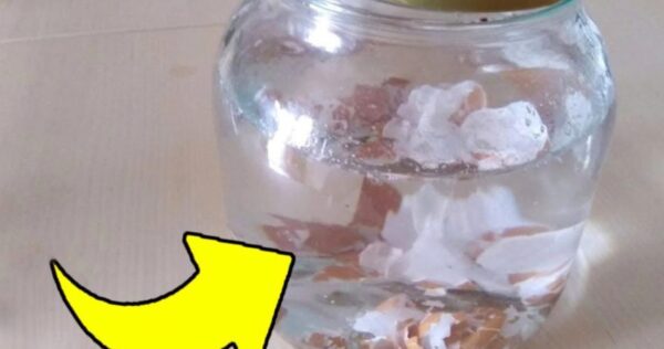 Ponga cáscaras de huevo en agua hirviendo, ¡por eso todo el mundo lo hace!