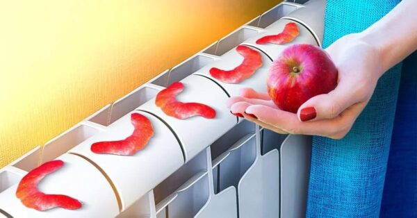 Ponga cáscaras de manzana en el radiador: el secreto efectivo que muchas personas hacen
