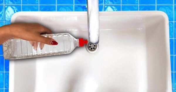 ¿Por qué a menudo persisten los malos olores en su baño? ¡La respuesta te sorprenderá!