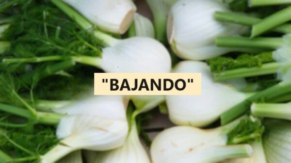 ¿Por qué cuando nos arriesgamos a una estafa decimos dejarnos engañar? Aquí está la razón
