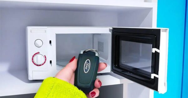 ¿Por qué deberías guardar las llaves de tu coche en el microondas?