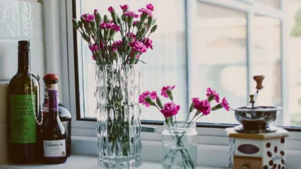 Por qué deberías poner Viagra en agua de flores