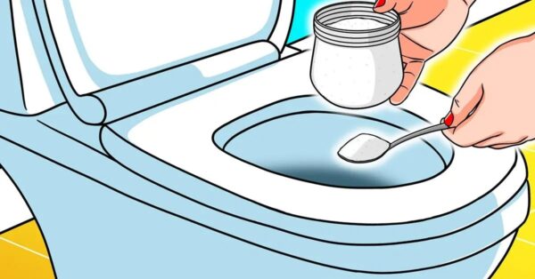 ¿Por qué es bueno echar sal en el inodoro? Te sorprenderá el resultado.