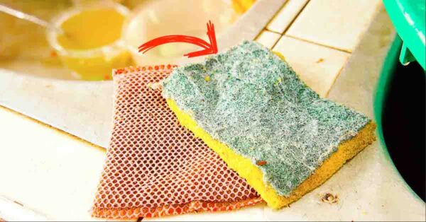 ¿Por qué es esencial cambiar la esponja para lavar platos cada semana?