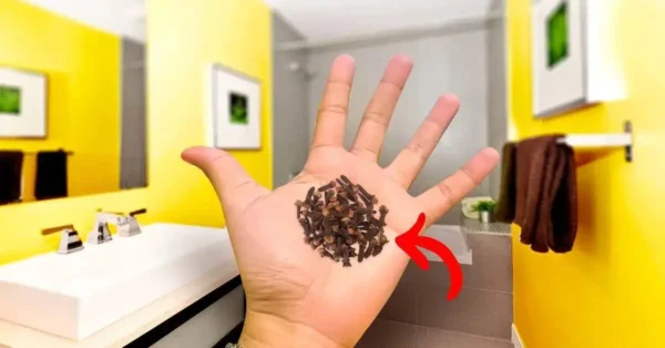 ¿Por qué es fundamental poner clavos en el baño? Te libran de un molesto problema