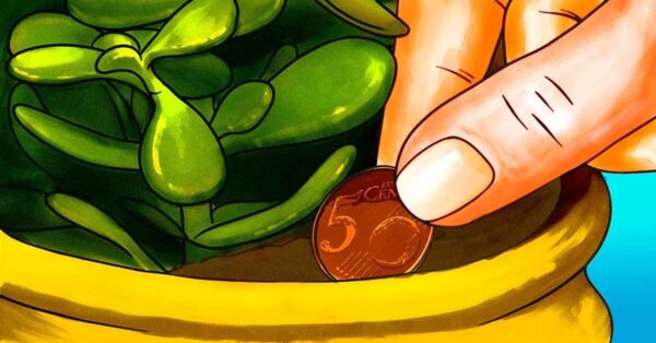 ¿Por qué es importante enterrar una moneda de cobre en tierra vegetal?