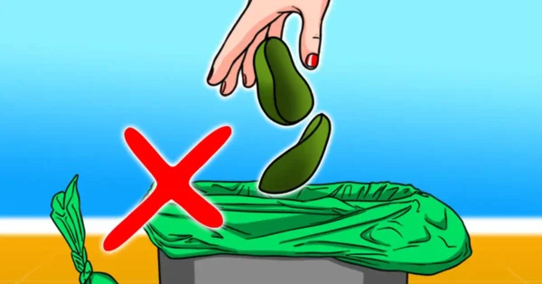 ¿Por qué es importante no tirar más las cáscaras de aguacate a la basura?