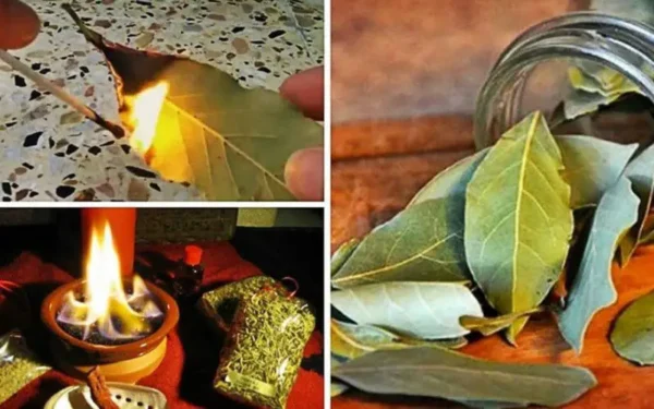¿Por qué es importante quemar hojas de laurel en casa?