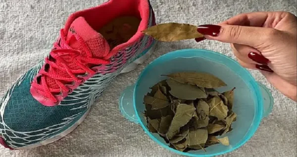¿Por qué es inteligente poner hojas de laurel en el armario de los zapatos?