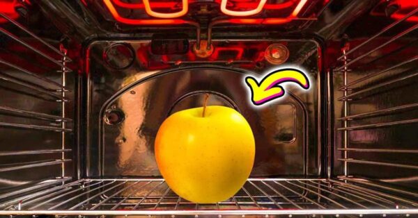 ¿Por qué es inteligente poner una manzana en el horno mientras aún está caliente?