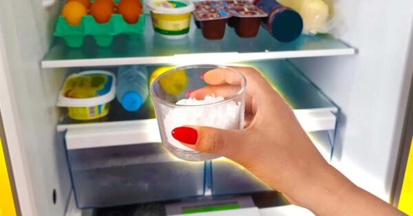 ¿Por qué hay que poner bicarbonato de sodio y azúcar en la nevera?