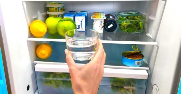 ¿Por qué hay que poner un vaso de vinagre en la nevera durante la noche?