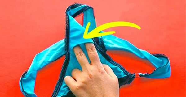 ¿Por qué la ropa interior de mujer tiene un bolsillo?