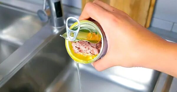 ¿Por qué no tirar el aceite de atún enlatado por el fregadero? Es un hábito arriesgado que está muy desaconsejado.