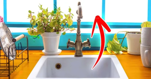 ¿Por qué se debe colocar el lavabo junto a la ventana? Este es el error que mucha gente comete