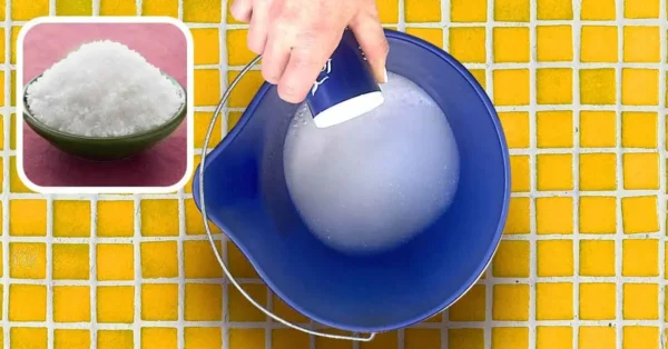 ¿Por qué se debe lavar el suelo con agua y sal?