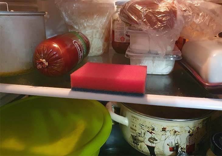 esponja en nevera