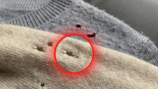 ¿Por qué se forman agujeros en las camisas? El motivo y cómo solucionarlo.