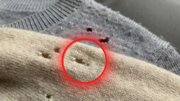 ¿Por qué se forman agujeros en las camisas? El motivo y cómo solucionarlo.