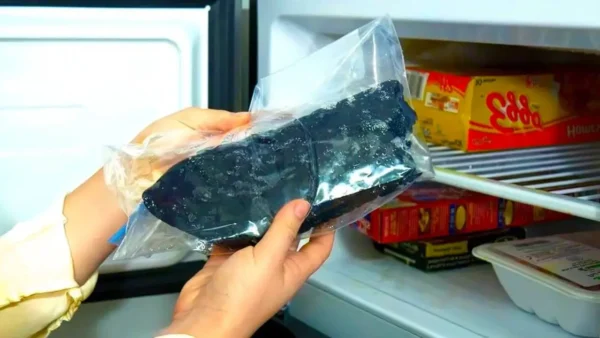 Por qué tantos dejan sus medias en el congelador durante la noche: la razón revelada