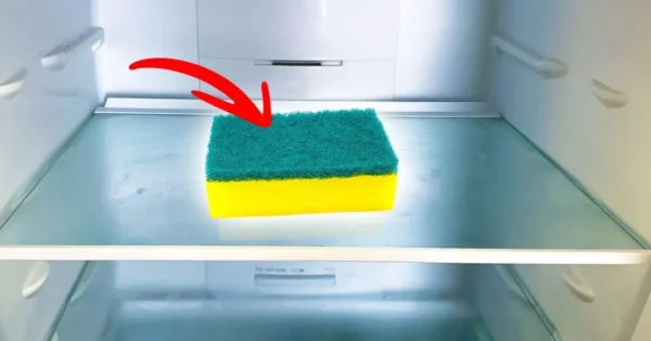 ¿Por qué tienes que poner una esponja en la nevera? El truco que te ahorra grandes problemas
