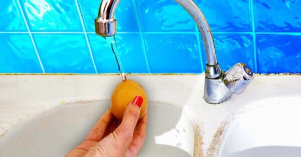 ¿Por qué ya no necesitamos lavar los huevos?