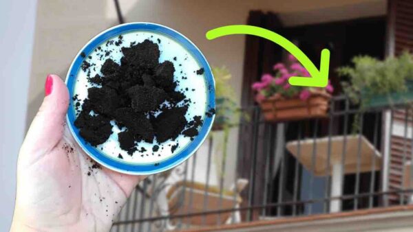 Posos de café en el balcón, porque todo el mundo lo hace en verano: soluciona un problema muy común