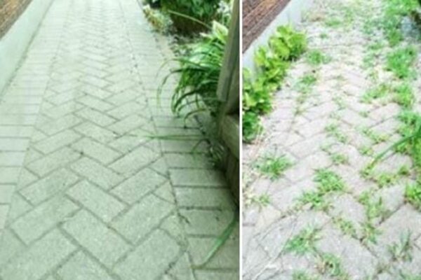 Potente y eficaz herbicida DIY para eliminar todas las malas hierbas con solo 1 euro