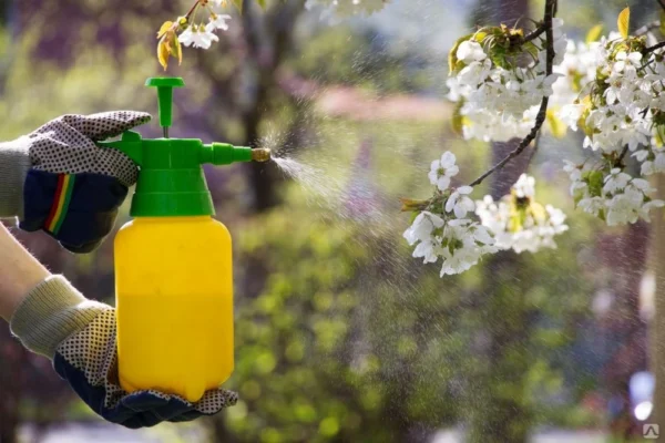 ¡Protege tu jardín! Aquí le mostramos cómo deshacerse de las plagas sin pesticidas pero solo con limón.