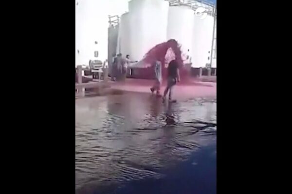 Provincia de Mendoza: por un insólito error en una bodega, se perdieron 15.000 litros de vino