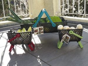 Prueba de cestas Kajo en versión mini 4L y caja de 20L