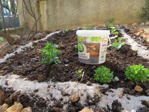 Prueba de la barrera de basada en conchas marinas trituradas de Algoflash