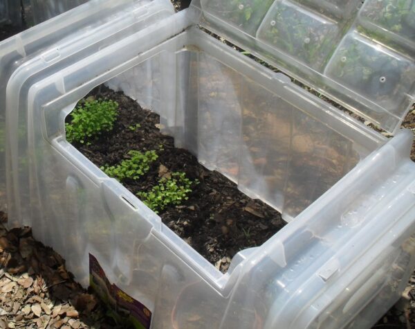 Prueba del producto: forzando invernaderos de túnel y túnel de cultivo desde pouss’vert