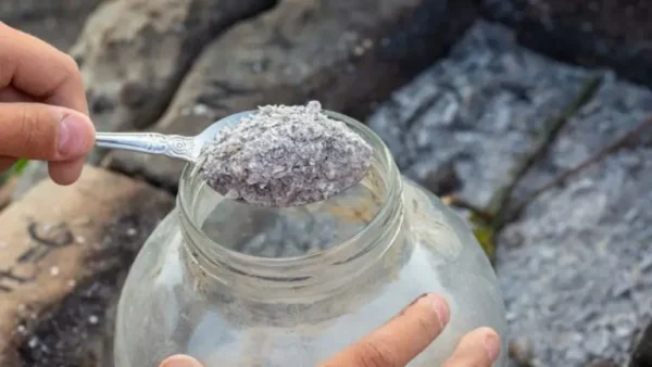 ¿Qué hacer con la ceniza de madera? ¡10 usos prácticos en el jardín y en casa!