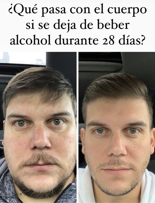¿Qué pasa con el cuerpo si se deja de beber alcohol durante 28 días?