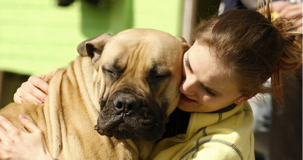 ¿Qué significa hablar con las mascotas? Te contamos la verdad