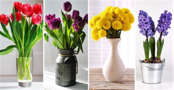 Que significa que te regalen flores de color: Azules, Rojas, Amarillas, Violetas, Rosas, Naranjas y Blancas