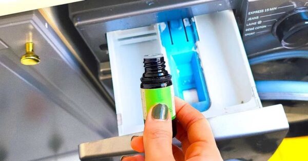 Quels autres ingrédients naturels pour un linge irréprochable ?