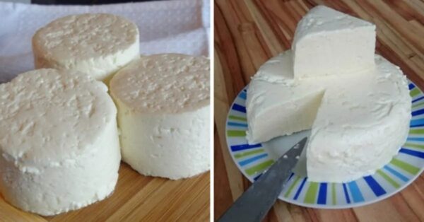 Receta: aquí se explica cómo hacer queso fresco en casa.