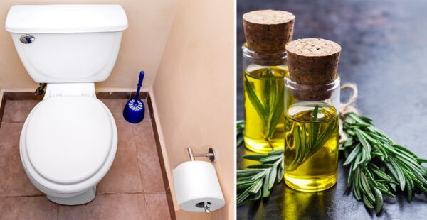 Receta de aromatizante casero para neutralizar el mal olor del baño
