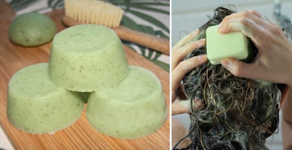 Receta de shampoo solido casero con aloe vera