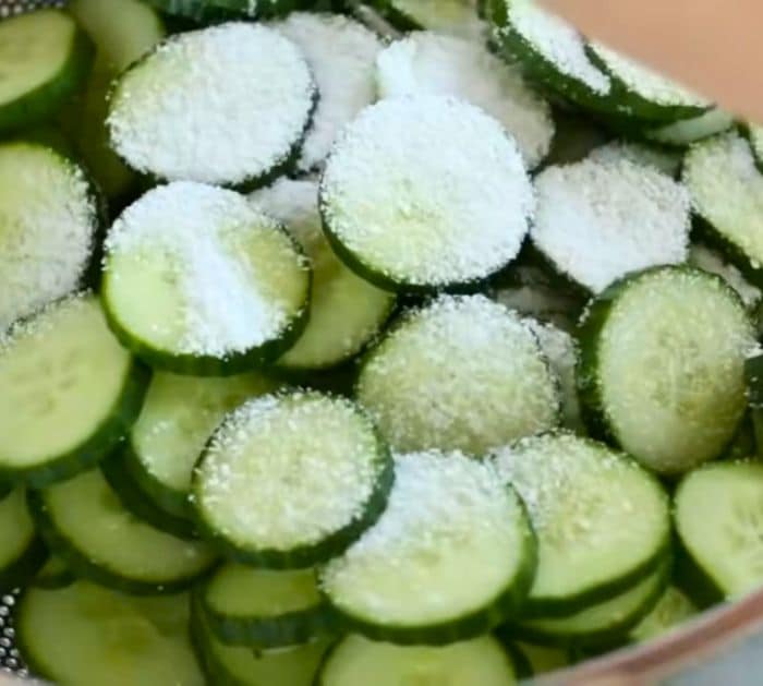 Super Easy and Quick Pickles Recipe Ingredients