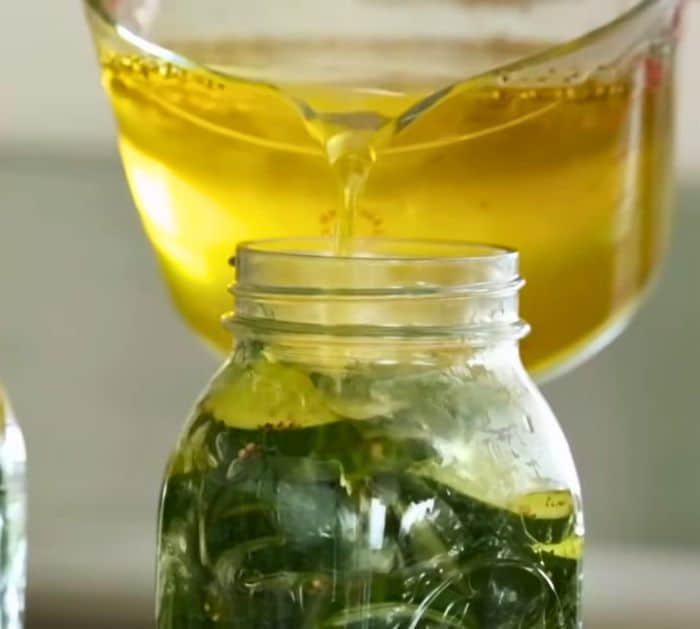 Super Easy and Quick Pickles Recipe Instructions