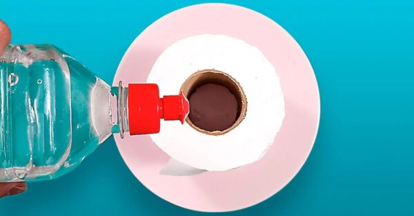 Remoja papel higiénico en vinagre: acabarás con este problema para siempre