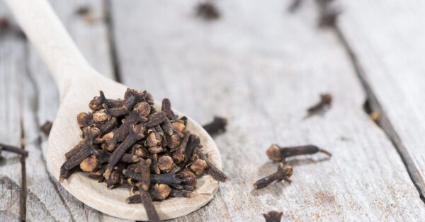 Repelentes naturales para ahuyentar termitas, polillas y hormigas